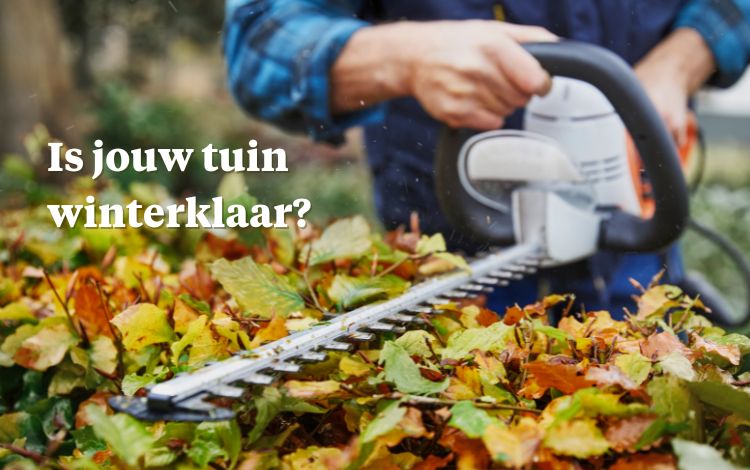 Tuin winterklaar maken