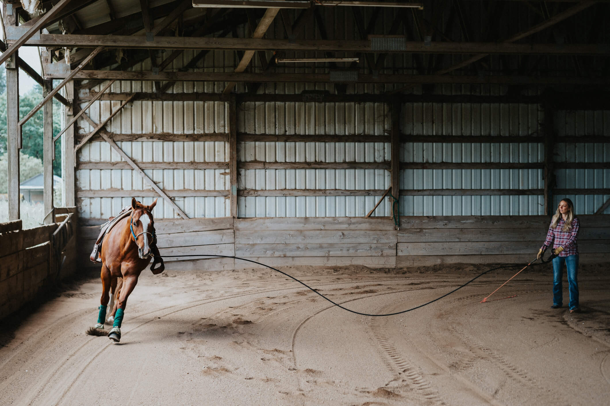 Paard beweging winter