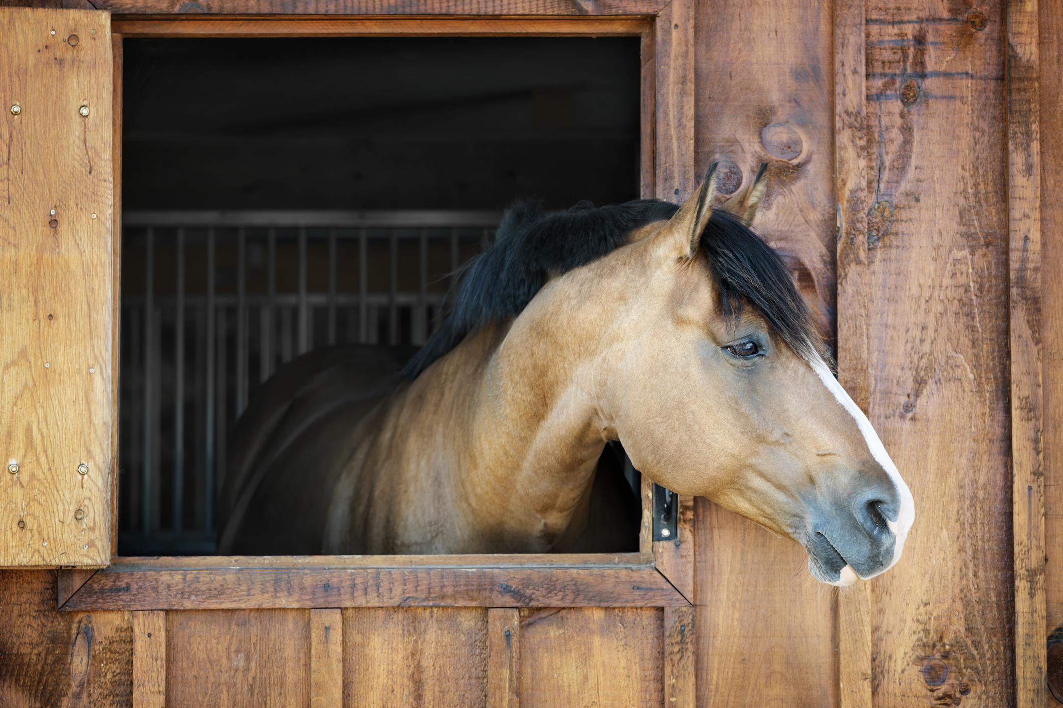 Ventilatie stal paard