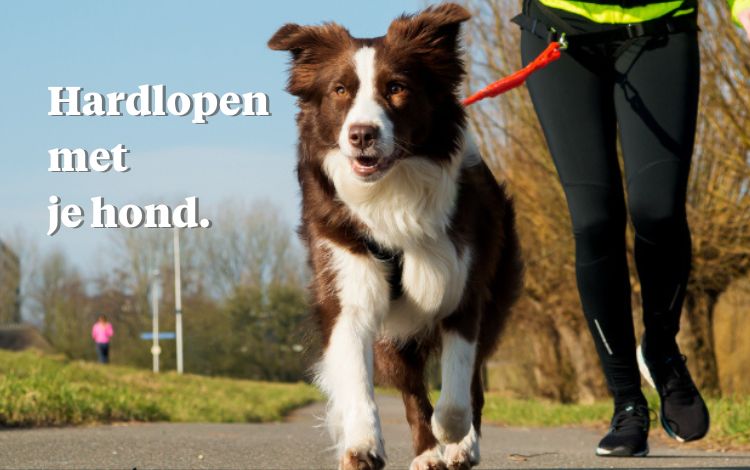 hardlopen met je hond