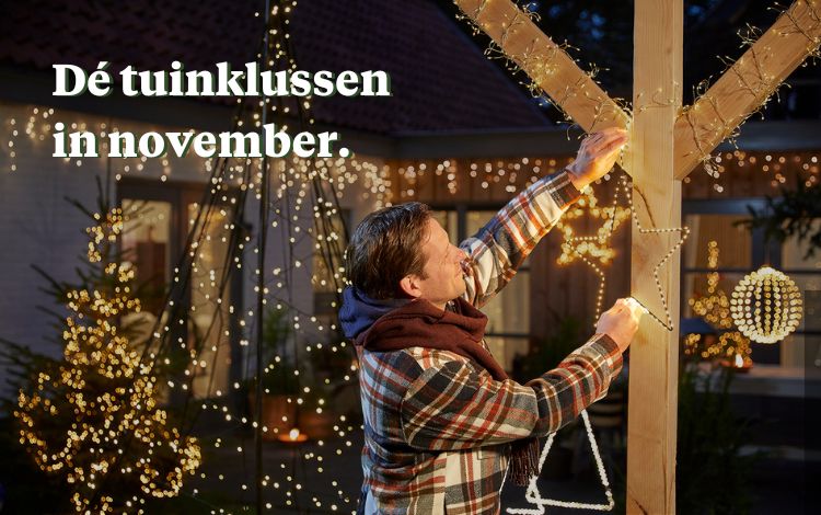 Tuinkalender november