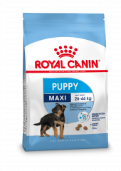 Welkoop Royal Canin SHN Maxi puppy - Hondenvoer - 15 kg aanbieding