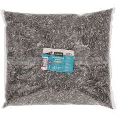 Welkoop - Gestreepte Zonnebloempitten - Tuinvogelvoer - 2,5 kg