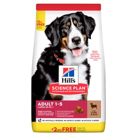 Hill's Science Plan Adult Large Breed - Hondenvoer - Lam - Rijst - 14 kg