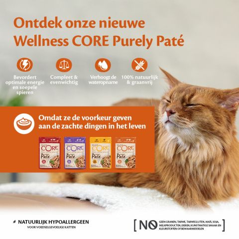 Wellness Core Purely Pate - Kattenvoer - Kip - 85 gram