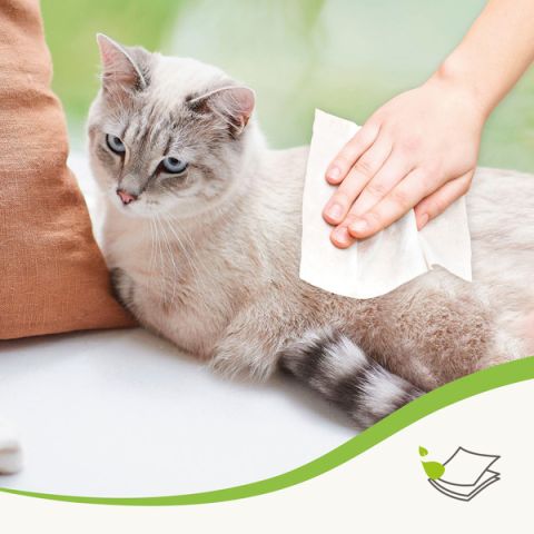 Beaphar Sensitive - Dierendoekjes - 30 stuks