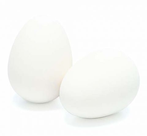 Welkoop - Nesteieren - Wit - 2 stuks