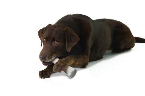 Petstages Deerhorn - Kauwspeelgoed - Beige - L - 6,35x20,32x3,81 cm