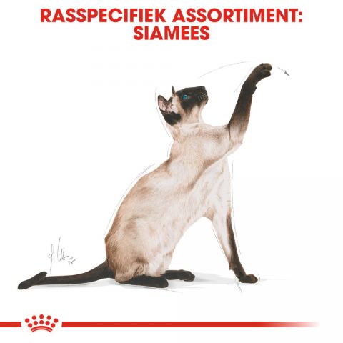Royal Canin Siamese Adult - Kattenvoer - 4 kg