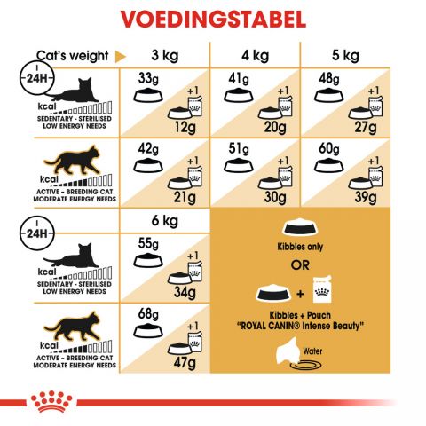 Royal Canin Siamese Adult - Kattenvoer - 4 kg