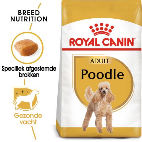 Royal Canin Poedel Adult  - Hondenvoer - 7,5 kg