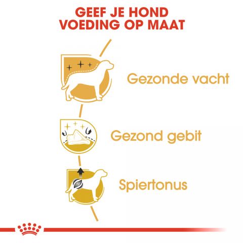 Royal Canin Poedel Adult  - Hondenvoer - 7,5 kg