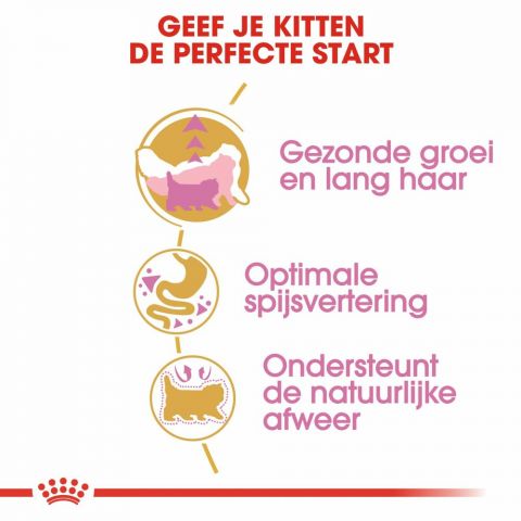 Royal Canin Persian Kitten - Kattenvoer - 4 kg