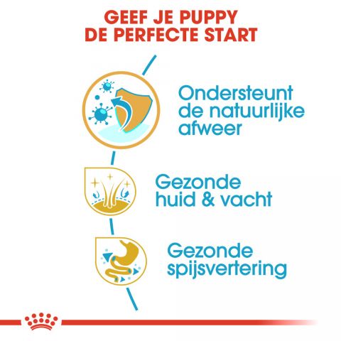 Royal Canin Golden Retriever Junior - Hondenvoer - 3 kg