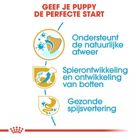 Royal Canin Rottweiler Puppy - Hondenvoer - 3 kg
