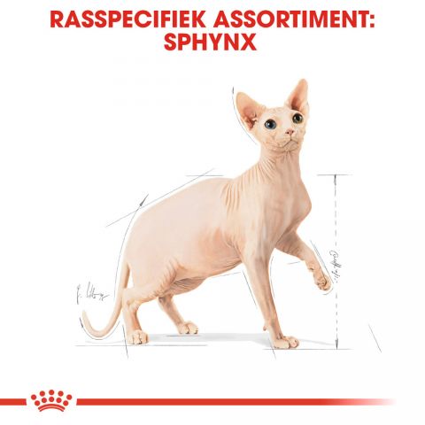 Royal Canin Sphynx Adult  - Kattenvoer - 2 kg
