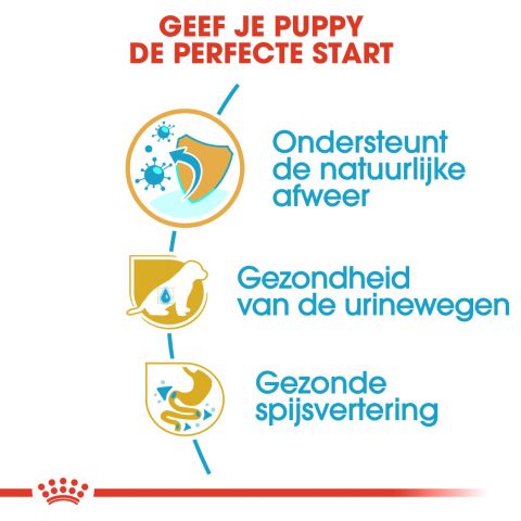 Royal Canin Dalmatian  Junior - Hondenvoer - 12 kg