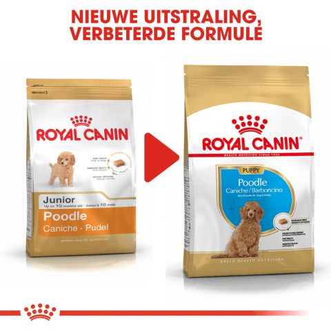 Royal Canin Poedel Junior - Hondenvoer - 3 kg