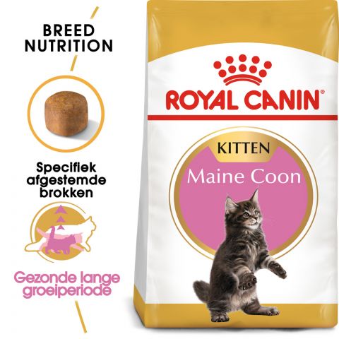 Royal Canin Maine Coon Kitten - Kattenvoer - 2 kg
