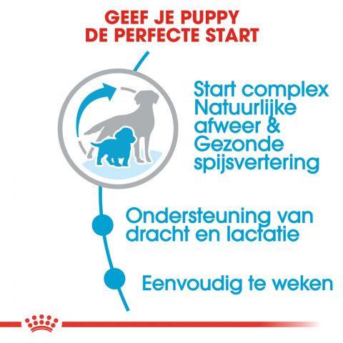 Royal Canin Medium Starter Mother and Babydog - Hondenvoer - 4 kg