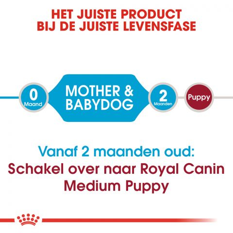 Royal Canin Medium Starter Mother and Babydog - Hondenvoer - 4 kg