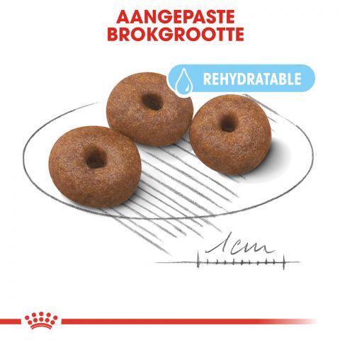 Royal Canin Giant Starter Mother and Babydog - Hondenvoer - 15 kg