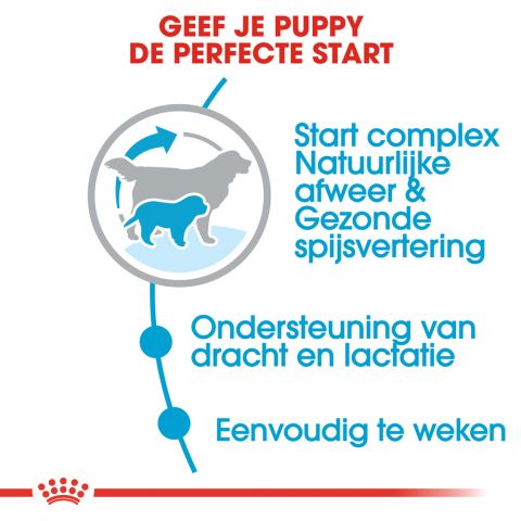 Royal Canin Giant Starter Mother and Babydog - Hondenvoer - 15 kg