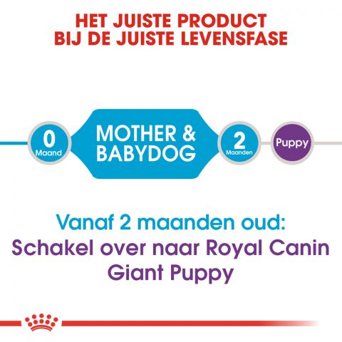 Royal Canin Giant Starter Mother and Babydog - Hondenvoer - 15 kg