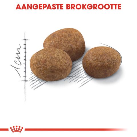 Royal Canin Sterilised +7 Regular - Kattenvoer - 10 kg