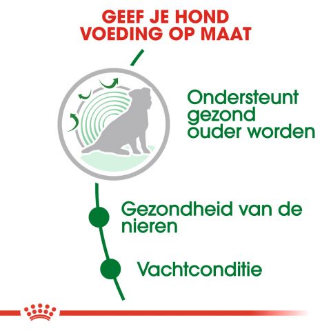 Royal Canin Mini Ageing 12+ - Hondenvoer - 800 gram