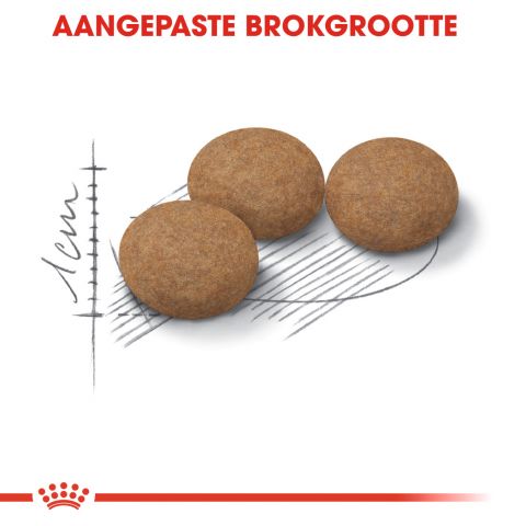 Royal Canin Ageing Sterilised 12+ - Kattenvoer - 2 kg