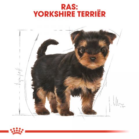 Royal Canin Yorkshire  Terrier Puppy - Hondenvoer - 7,5 kg