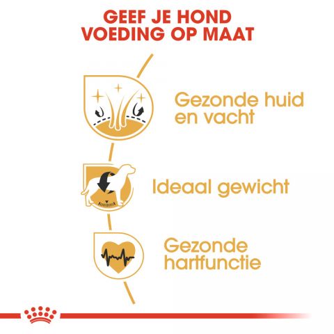 Royal Canin Cocker Spaniel Adult - Hondenvoer - 12 kg