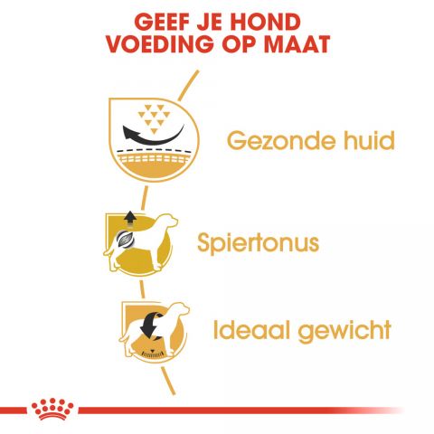 Royal Canin Mopshond Adult - Hondenvoer - 7,5 kg