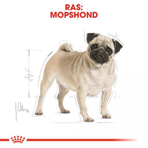 Royal Canin Mopshond Adult - Hondenvoer - 7,5 kg