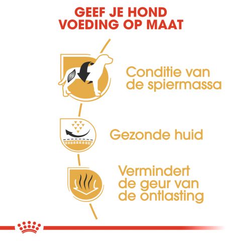 Royal Canin Franse Bulldog Adult - Hondenvoer - 1,5 kg