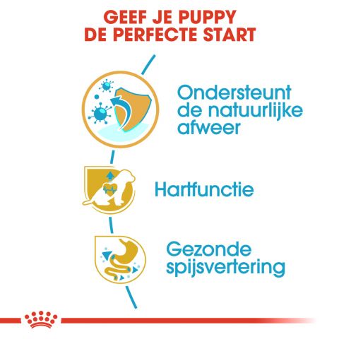Royal Canin Cavalier King Charles Puppy - Hondenvoer - 1,5 kg