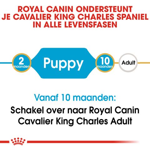 Royal Canin Cavalier King Charles Puppy - Hondenvoer - 1,5 kg