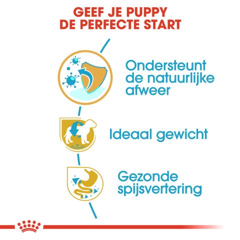 Royal Canin Mini Schnauzer Junior - Hondenvoer - 1,5 kg
