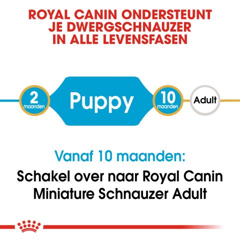 Royal Canin Mini Schnauzer Junior - Hondenvoer - 1,5 kg