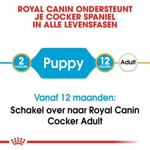 Royal Canin Cocker Puppy - Hondenvoer - 3 kg