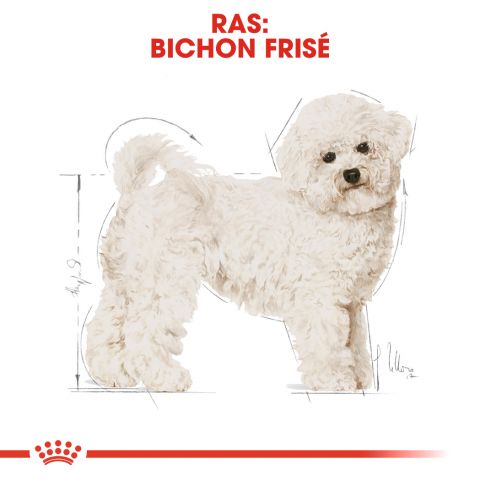 Royal Canin Bichon Frisé Adult - Hondenvoer - 1,5 kg