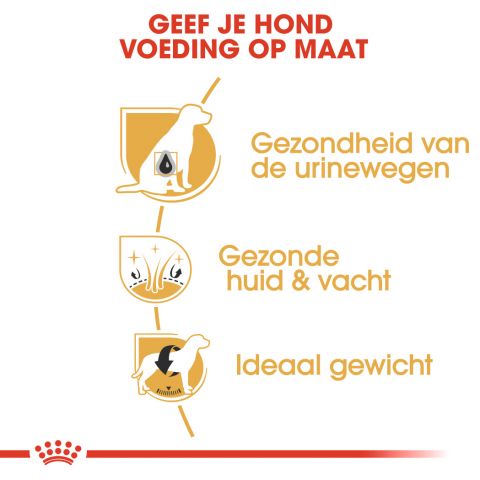 Royal Canin Bichon Frisé Adult - Hondenvoer - 1,5 kg