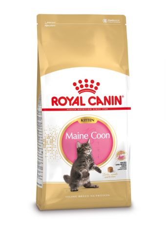 Royal Canin Maine Coon Kitten - Kattenvoer - 2 kg