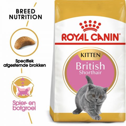 Royal Canin Britse Korthaar Kitten - Kattenvoer - 2 kg