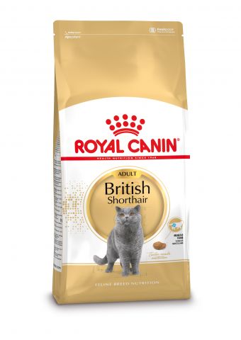 Royal Canin Britse Korthaar Kitten - Kattenvoer - 10 kg