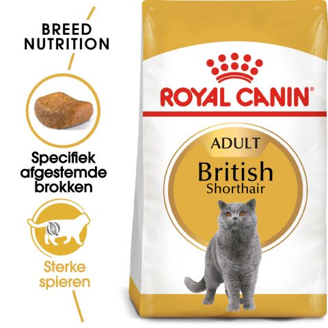 Royal Canin Britse Korthaar Kitten - Kattenvoer - 10 kg