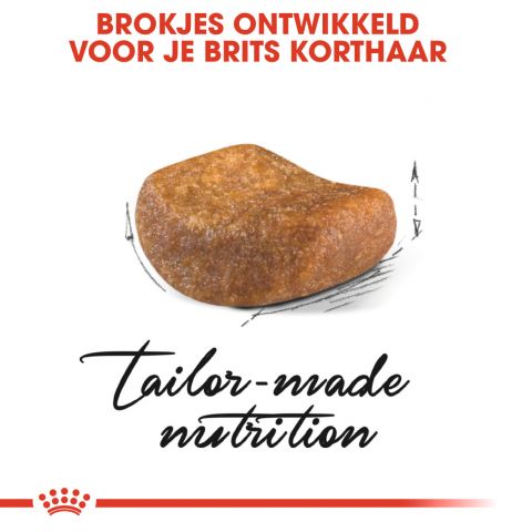 Royal Canin Britse Korthaar Kitten - Kattenvoer - 10 kg
