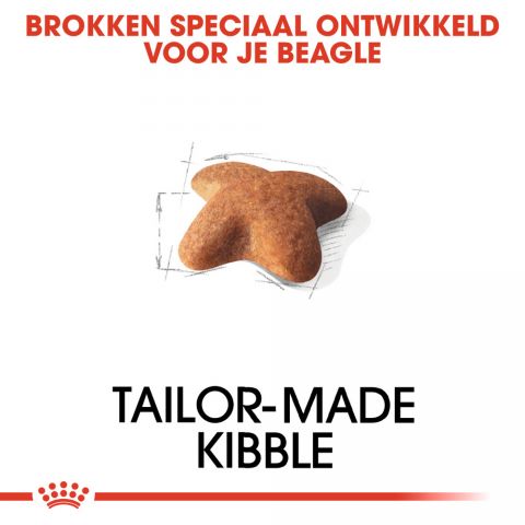 Royal Canin Beagle Adult - Hondenvoer - 12 kg