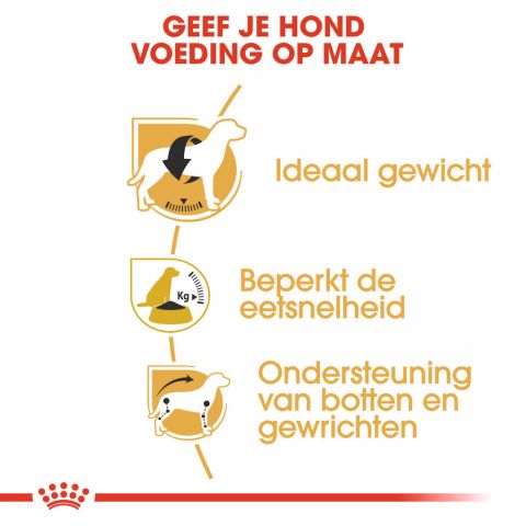 Royal Canin Beagle Adult - Hondenvoer - 12 kg